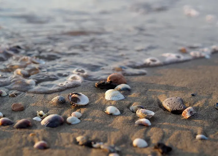 Apartamento Comfy By The